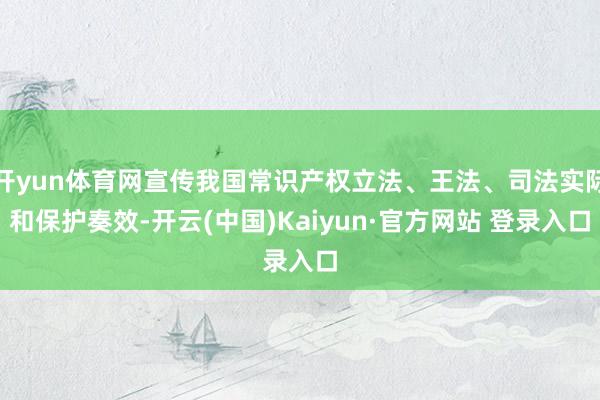 开yun体育网宣传我国常识产权立法、王法、司法实际和保护奏效-开云(中国)Kaiyun·官方网站 登录入口