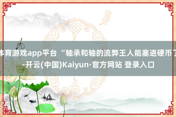 体育游戏app平台 “轴承和轴的流弊王人能塞进硬币了-开云(中国)Kaiyun·官方网站 登录入口