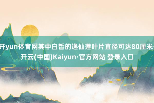 开yun体育网其中白皙的逸仙莲叶片直径可达80厘米-开云(中国)Kaiyun·官方网站 登录入口