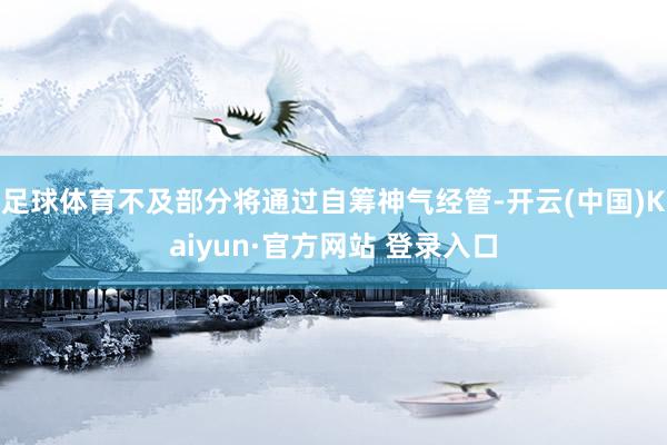 足球体育不及部分将通过自筹神气经管-开云(中国)Kaiyun·官方网站 登录入口