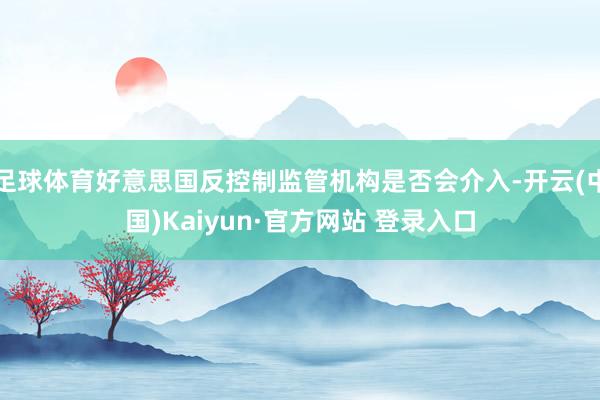 足球体育好意思国反控制监管机构是否会介入-开云(中国)Kaiyun·官方网站 登录入口